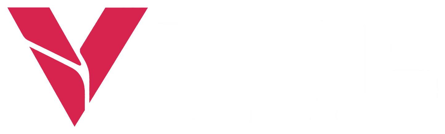 Vice Roleplay